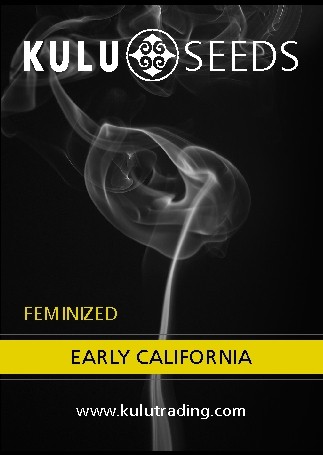 Kulu Trading Early California