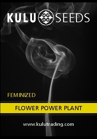 Kulu Flower Power Plant