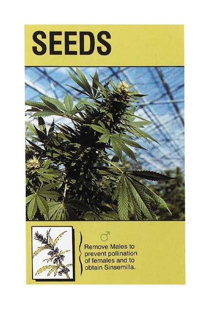 Kulu Trading Blue Mystic