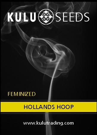 Kulu Hollands Hoop