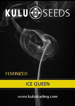 Kulu Trading Ice Queen
