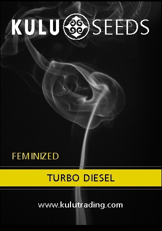 Kulu Trading Turbo Diesel