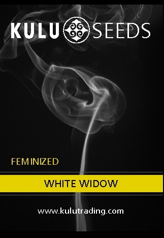 Kulu Trading White Widow