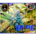 Big Buddha Blue Cheese