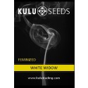 Kulu Trading White Widow Feminised