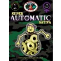 Big Buddha Super Automatic Sativa