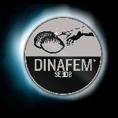 dinafem cannabis seed logo