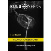 Kulu Flower Power Plant