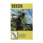 Kulu Trading Aurora Borealis