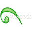 Kiwiwseeds Logo